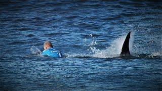 Shark Stories & Lifeguards | Rescue Swimmer Mindset Podcast