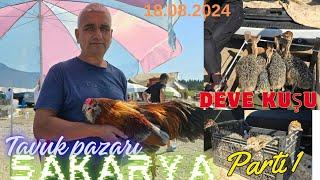 18.08.2024 Sakarya tavuk pazarı parti 1