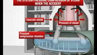 Boiling Water Reactor (BWR)