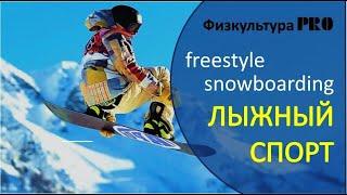  Всё о лыжном спорте / Направления в сноубординге и фристайле /freestyle/ snowboard /фильм2