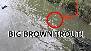 The WORST curse to have while TROUT fishing! (HELP)