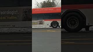 NICE: N20G Bus Great Neck (2021 Gillig BRT+ CNG 2056) - 2/9/2025