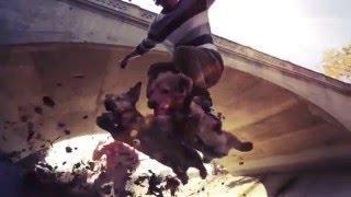 Dogboarding !