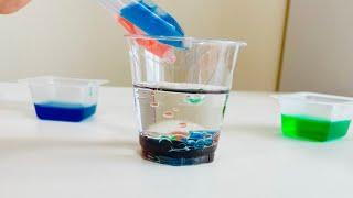 【自由研究に️】簡単実験お家知育にもおすすめ #簡単 #自由研究 #まとめ方 #知育 @maa_chiiku_asobi