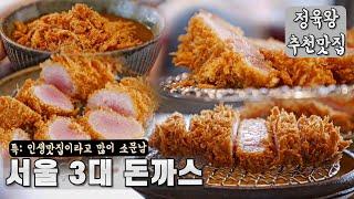 톤쇼우만한 돈까스 맛집 서울에 있을까?