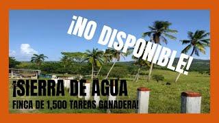 Finca de 1500 tareas Ganadera en Sierra de Agua Bayaguana
