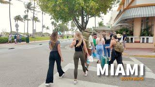 EXPLORE South Beach Like a Local in Miami!
