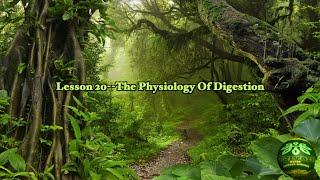 Life Science Health System | Lesson 20--The Physiology Of Digestion