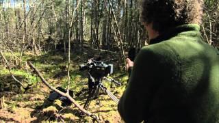 Bear Hijacks Camera - The Bear Family and Me - BBC