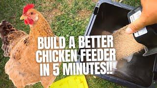 The Best Chicken Feeder #shorts