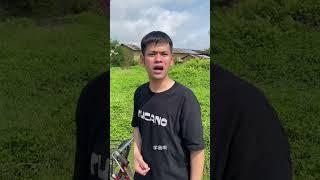 thành thật quá cũng khổ