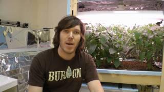 How To Hydroponics - S02E05 Project Update