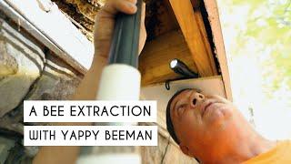 An Alabama Bee Removal w/ Yappy Beeman (+ 20 More Questions!) | Premier Bee Products