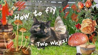 How to fly like a fairy! ‍️️