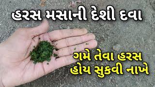 ગામડામાં મફત મળતી આ વનસ્પતિ ગમે તેવા હરસ મસા મટાડી દે || piles ka ilaaj || હરસ મસા નો ઈલાજ