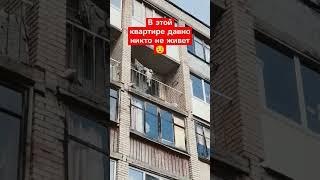 Заброшенная квартира в центре города #паранормальное #призрак #страх #мистика #сущность