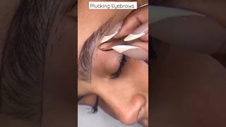 Eyebrow Plucking #shorts #yt #plucking #eyebrow