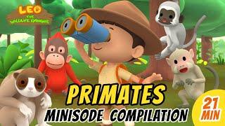 Primates Minisode Compilation - Leo the Wildlife Ranger | Animation | For Kids