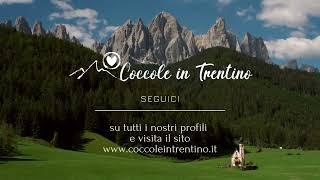 I migliori Hotel del Trentino Alto Adige. Coccole in Trentino, consigli di viaggio, offerte Hotel,