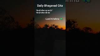 bhagavad gita status #bhagavadgita #krishnabhagavadgita #shorts #bhagwatgita