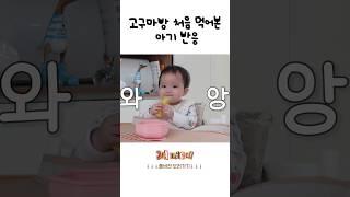 루희는 맛있을 때 빵뎅춤을 춰 