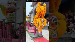 Is China's dragon show event that easy #shorts