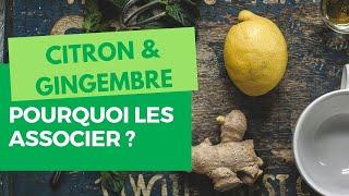 Gingembre et Citron : Pourquoi faut-t-il les associer (Infusion) ?