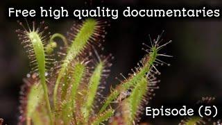Free high quality documentaries with voice nocopyright