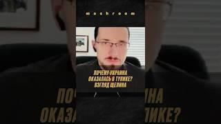 Павел Щелин объяснил стратегию Украины в переговорах || #переговоры #Щелин #павелЩелин #Украина