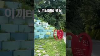 단양 여행 필수코스 이끼터널의 현실