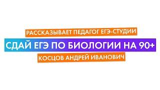Сдай ЕГЭ по биологии на 90+, рассказывает педагог ЕГЭ-Студии Косцов Андрей Иванович. 0+