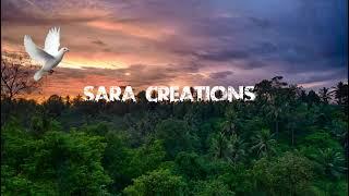 Sara Creations #shorts #youtube #edit