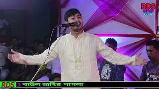 জহির পাগলা তোমারও পিরিতে বন্ধুরে বন্ধু কি হবে না জানি NEW BAUL SONG JOHIR PAGLA NEW BAUL 2023