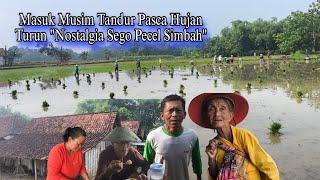 Luar Biasa Umur 90 Thn Masih Jualan Gendong Belonjo Keliling Kampung "Balada Tandur Pari Di Desa"