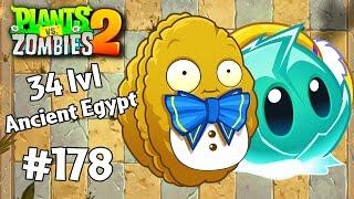 Ancient Egypt 34 Day Plants vs Zombies 2 #178  Прохождение Gameplay Walkthrough ios android