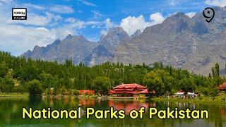 Discovering Natural Wonders: 10 National Parks of Pakistan to See