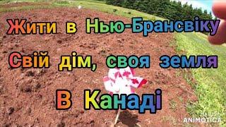 ЯК УКРАЇНСЬКІ ЕМІГРАНТИ ВЕДУТЬ ГОСПОДАРСТВО НА КАНАДСЬКІЙ ЗЕМЛІ. NEW BRUNSWICK. @immigrant UA194