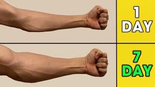 Only 3 Exercises For Your Forearms! (At Home With Dumbbells)