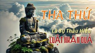 Tha Thứ Là Biểu Hiện Cao Nhất Của Lòng Từ Bi || LỜI PHẬT DẠY