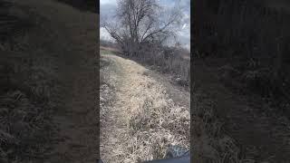 Riding into Twilight Nature Adventure #trending #shorts #youtubeshorts