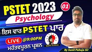 Pstet 2023 Psychology | CDP | Skylite Academy | Most Important Questions