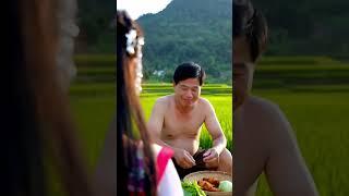 "From Farm to Feast: Embracing Nature's Bounty in Every Bite" #howto #how #howtoeat #howtoall