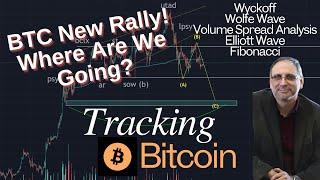 Tracking Bitcoin: Examining the Latest Rally (Jan 6, 2025) #btc #bitcoin