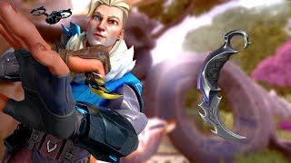 REAVER VS CHAMPIONS Karambit which is better??