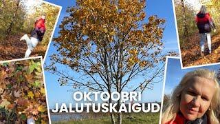 SÜGISE VLOG - Oktoobri jalutuskäigud (100% õues)