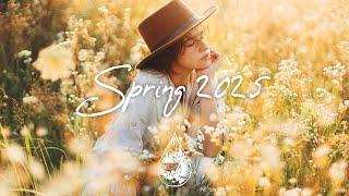 Indie Folk Compilation - Spring 2025  (2½-Hour Playlist)