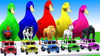 5 Giant Duck Cartoon, Cow, Mammoth, Elephant, Lion, Paint Wild Animals Crossing Fountain Animation