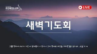 2024년 12월 24일(화) 새벽기도회 | 누가복음 1:39-56 | 내 마음이 구주를 기뻐하였음은