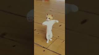 jo jo jo Cat funny Dans#viral #viral #foryou #subscribe #like #funny