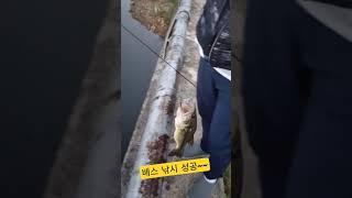 Bass Fishing Successful #Fishing #Beginner #First Time #Shorts (Republic of Korea)